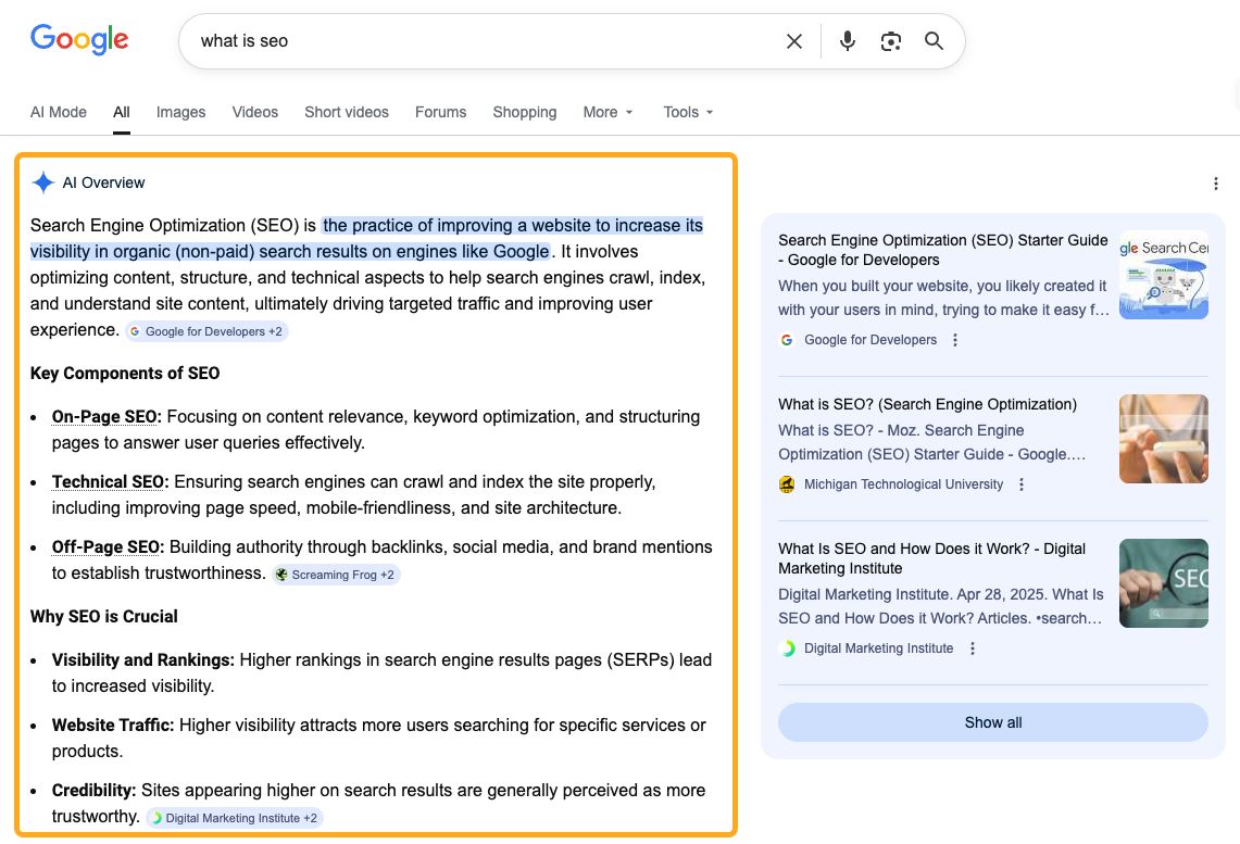 Google AI Overview sonuç ekranı