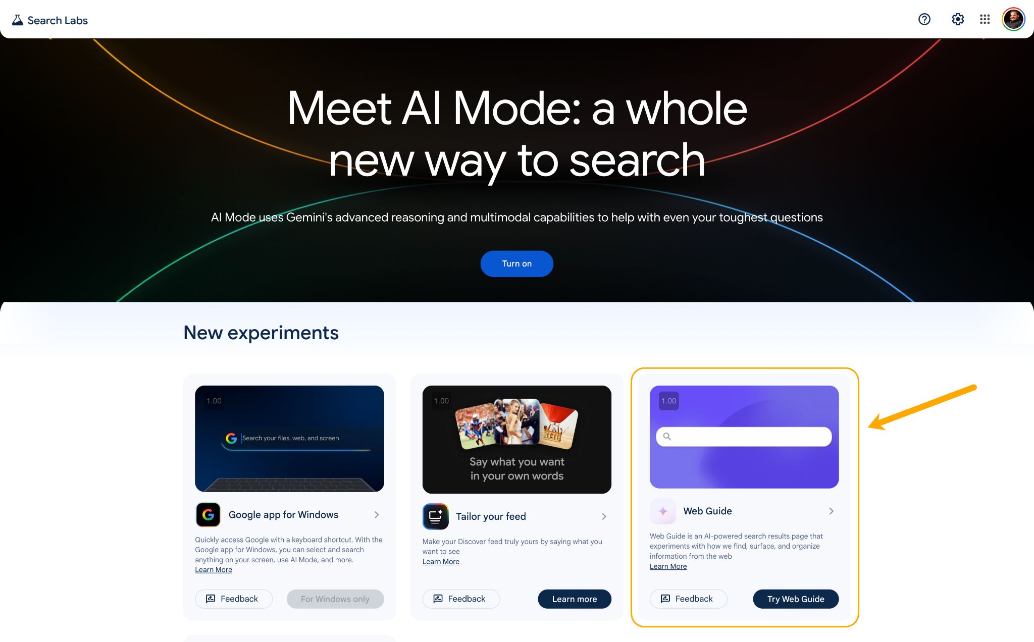 Search Labs: YZ Modu ve Web Rehberi kartları