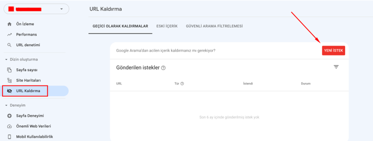 Google Search Console URL kaldırma — önceki istekler listesi.