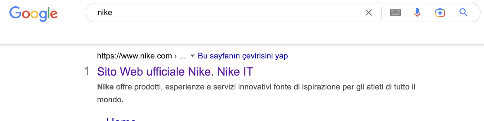 Google arama sonuçlarında Nike hreflang örneği