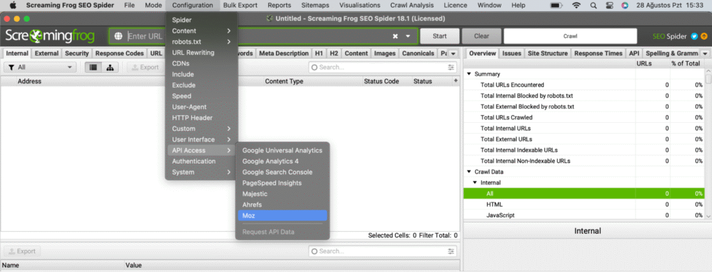 Screaming Frog API Access ayarları.