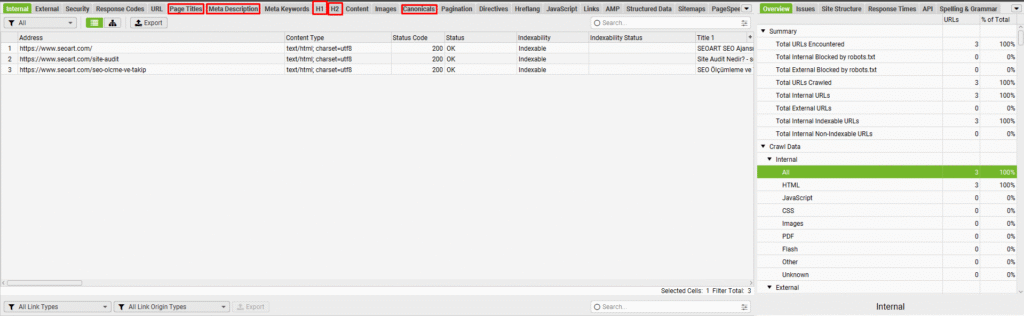 Screaming Frog Overview içinde URL ile ilgili filtreler.