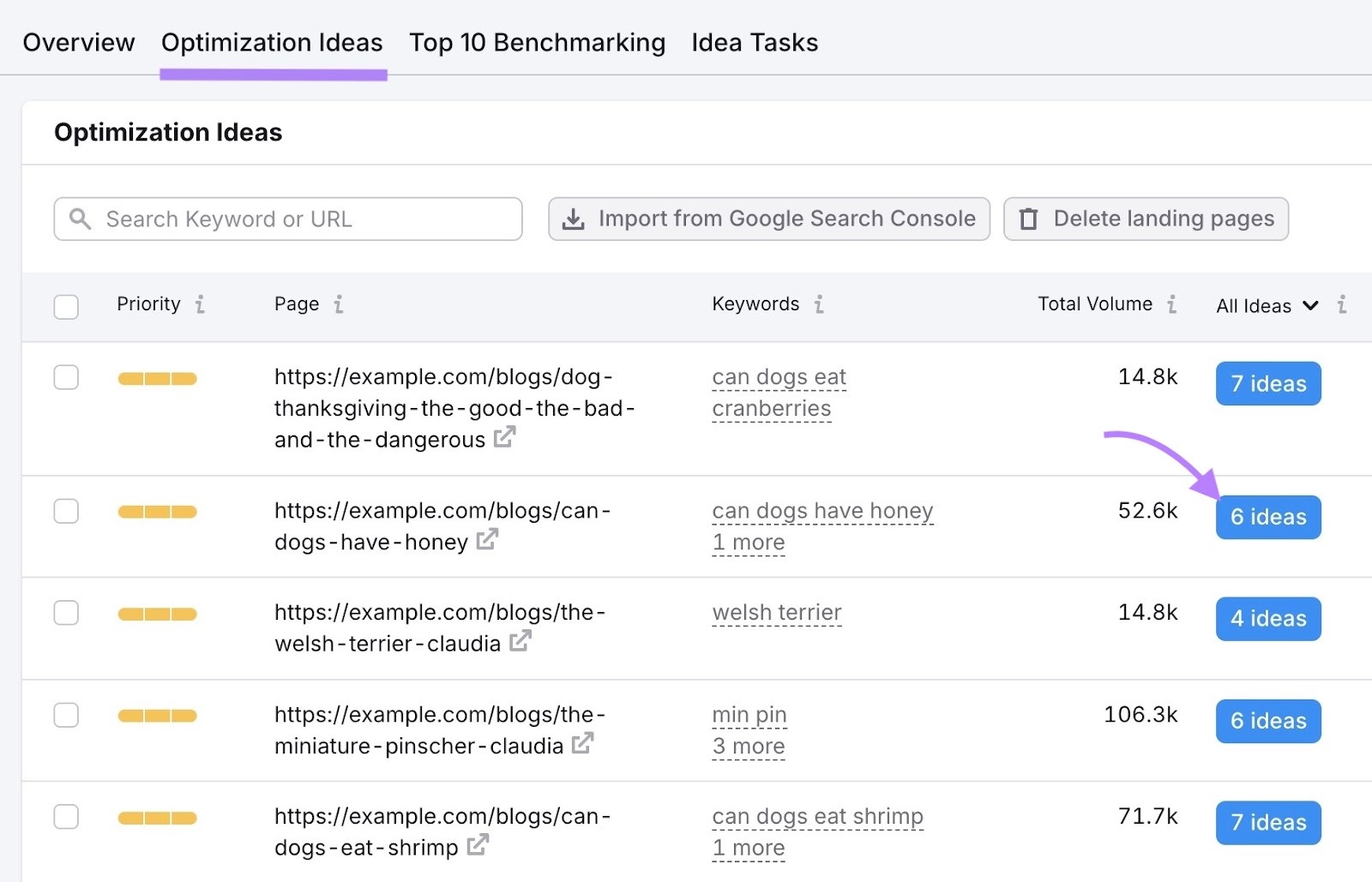 Optimizasyon fikirleri sekmesi ve sayfa bazlı öneriler