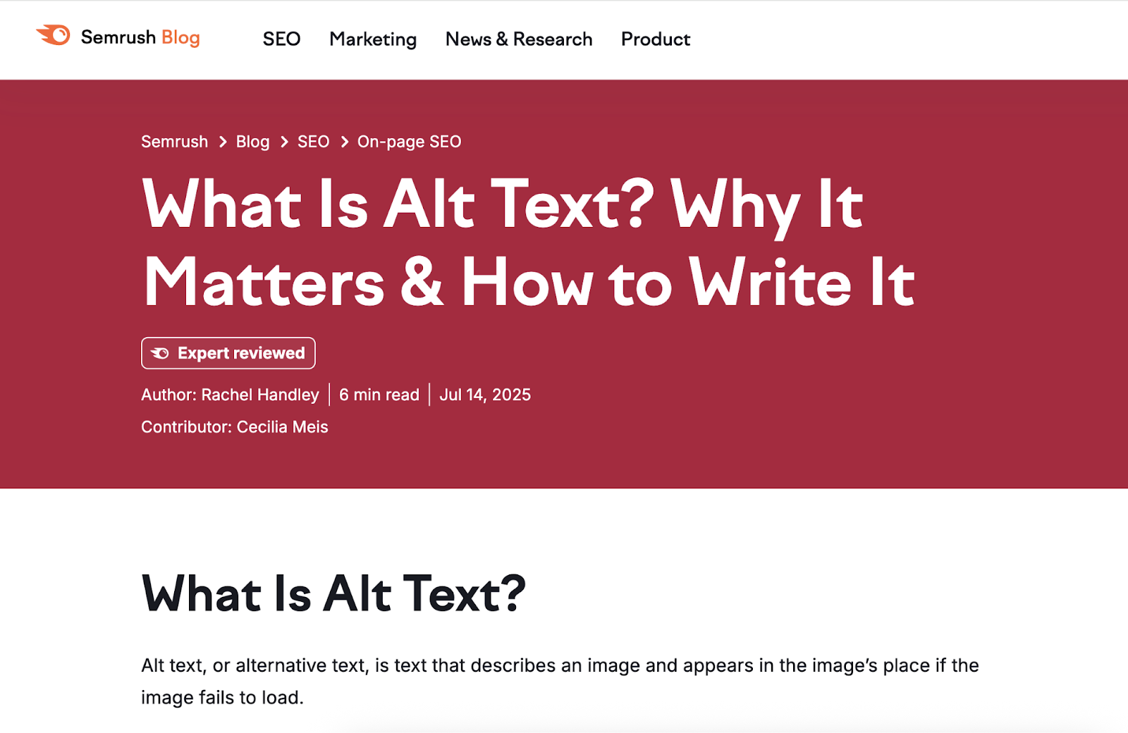 Alt metin nedir sorusunun ilk cümlede yanıtlandığı blog örneği