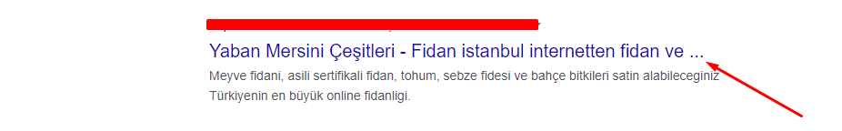 Google arama sonuçlarında sayfa başlığı (title) ve snippet örneği.