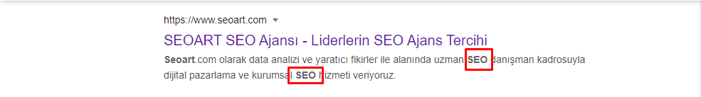 Google arama sonuçlarında meta açıklama satırı örneği.