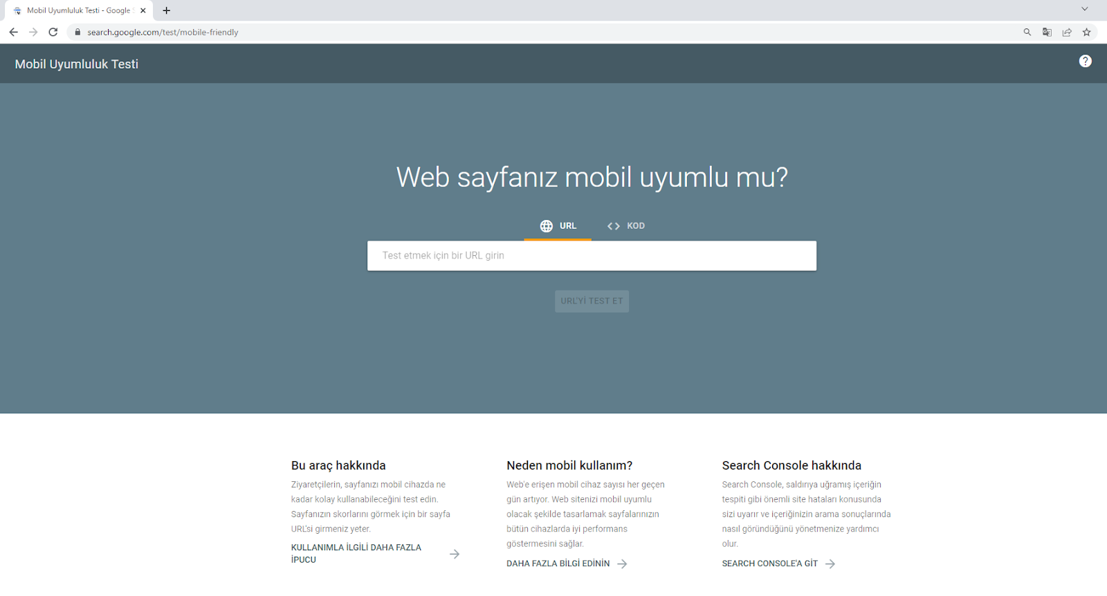 Google Mobile-Friendly Test arayüzü örneği.