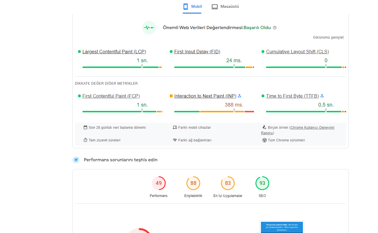 Google PageSpeed Insights skor ve öneri ekranı örneği.