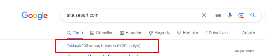 Google'da site:seoart.com araması ve yaklaşık sonuç sayısı vurgusu.